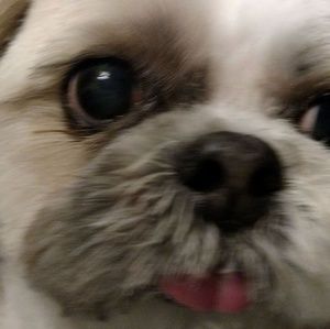 Meet your Posher, Maureen